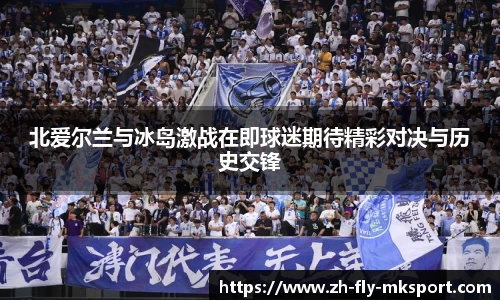 北爱尔兰与冰岛激战在即球迷期待精彩对决与历史交锋