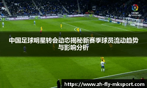 中国足球明星转会动态揭秘新赛季球员流动趋势与影响分析