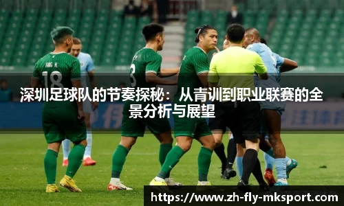 深圳足球队的节奏探秘：从青训到职业联赛的全景分析与展望
